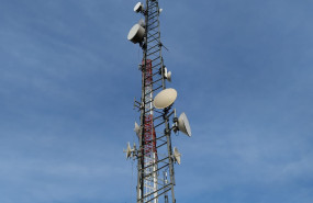 img 20220203 wa0006 img 20220203 wa0006