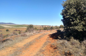 1644927057 img20220209 103746 189 b