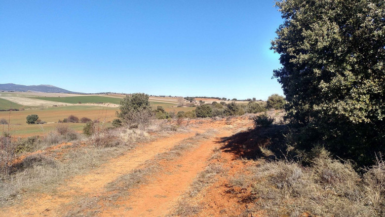 1644927057 img20220209 103746 189 b