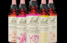 bodegon flacon 5 2022 comunicae 20230614190325 