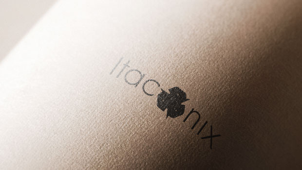 dl itaconix aim detergent polymers technology logo