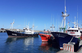 ep archivo   barcos pesqueros en el puerto de bermeo bizkaia