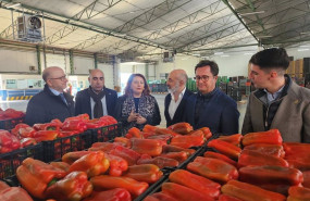 ep archivo   la consejera carmen crespo durante su visita a una empresa agricola de el ejido almeria
