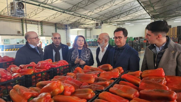 ep archivo   la consejera carmen crespo durante su visita a una empresa agricola de el ejido almeria