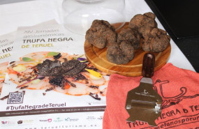 ep archivo   la jornadas gastronomicas de la trufa negra de teruel muestran el potencial de este
