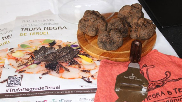 ep archivo   la jornadas gastronomicas de la trufa negra de teruel muestran el potencial de este