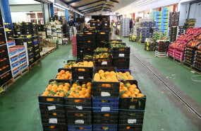 ep fruta en mercamalaga