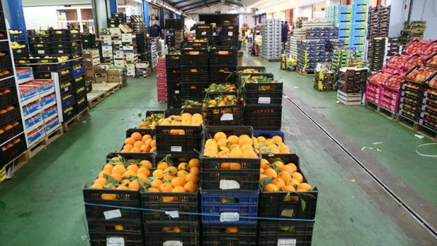 ep fruta en mercamalaga