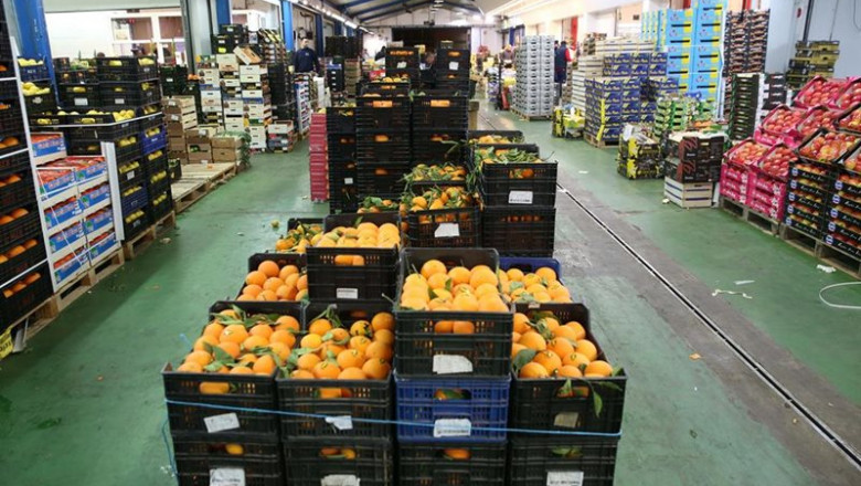 Fruta en Mercamálaga | MERCAMALAGA - Archivo ep fruta en mercamalaga