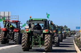 ep imagen de algunos de los tractores que se movilizan este jueves cortando la a-49 direccion