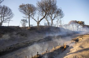 ep incendio moguer acceso playa cuesta maneli