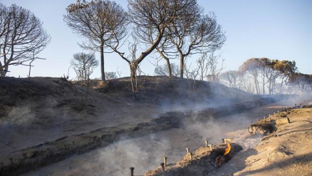 ep incendio moguer acceso playa cuesta maneli