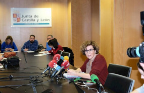 ep la directora general de salud publica de castilla y leon carmen pachecho durante la rueda de