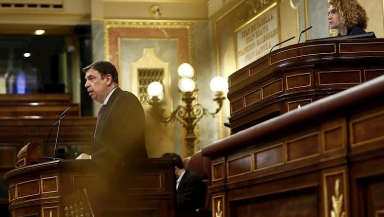 La presidenta de la cámara, Meritxell Batet y el ministro de Agricultura, Luis Planas, durante el pleno del Congreso de los Diputados. | Pool ep la presidenta de la camara meritxell batet y el ministro de agricultura luis planas durante el