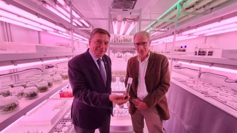 ep luis planas visita el centro de investigacion hortofruticultura subtropical y mediterranea la ep luis planas visita el centro de investigacion hortofruticultura subtropical y mediterranea la