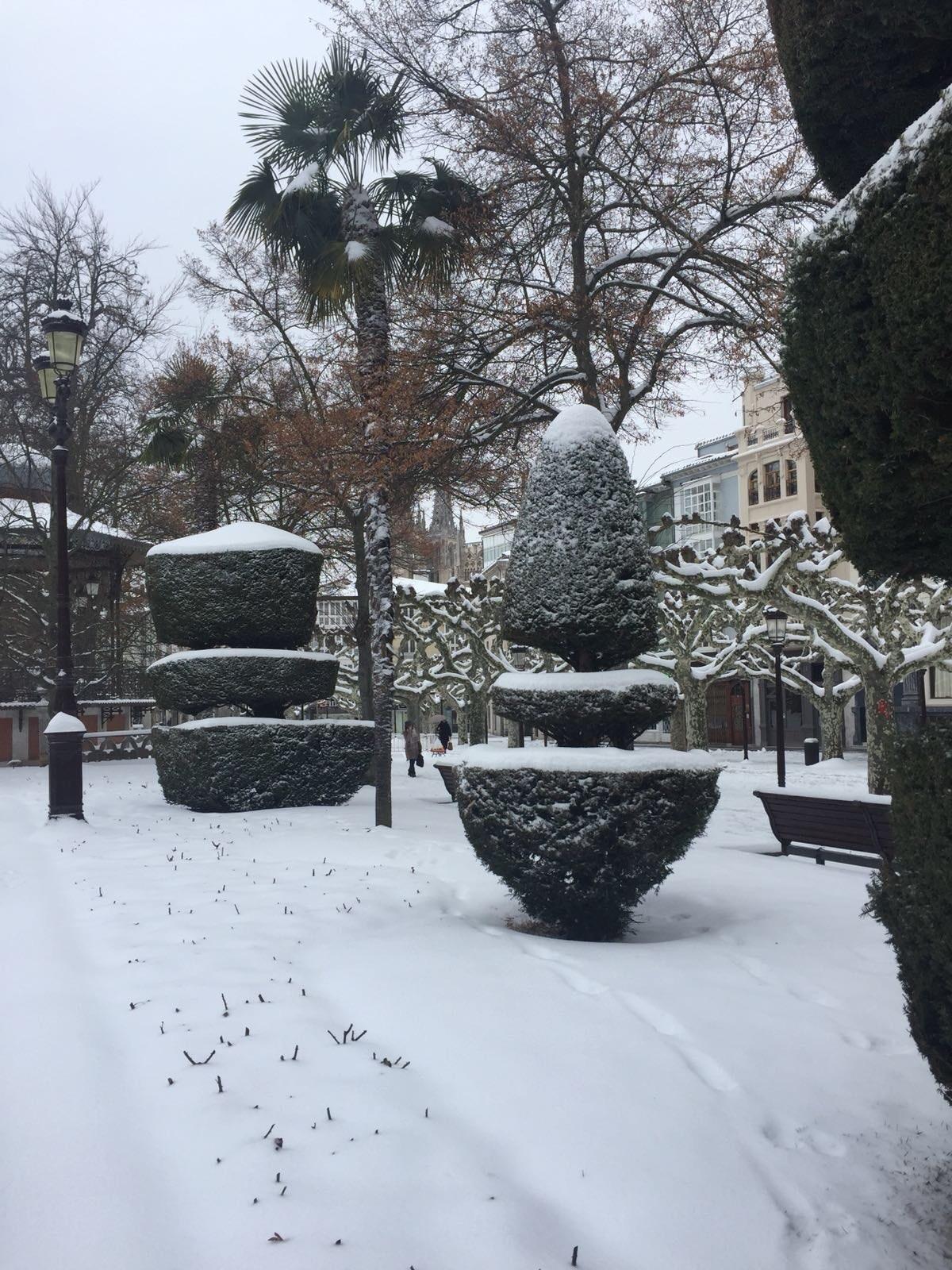 ep nevadaburgos
