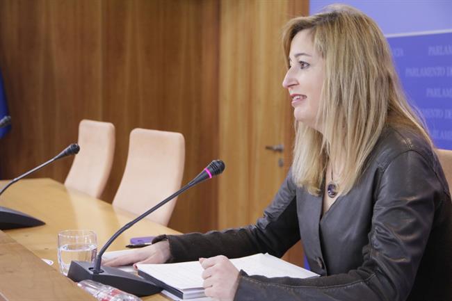 ep ruedaprensala diputadapodemos andalucia carmen lizarraga