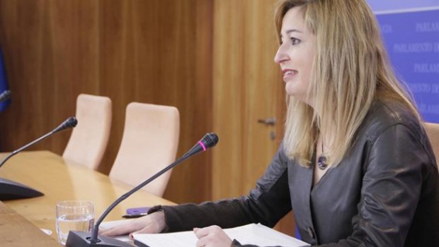 ep ruedaprensala diputadapodemos andalucia carmen lizarraga