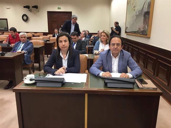 ep senador luis aznar secretariodemesasenado