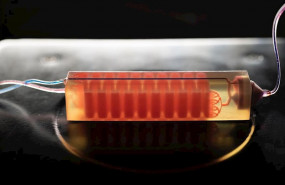 ep una trampa celular impresa en 3d desarrollada en el laboratorio de georgia tech assistant