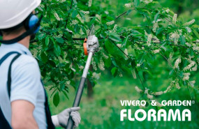 florama poda de arboles florama poda de arboles