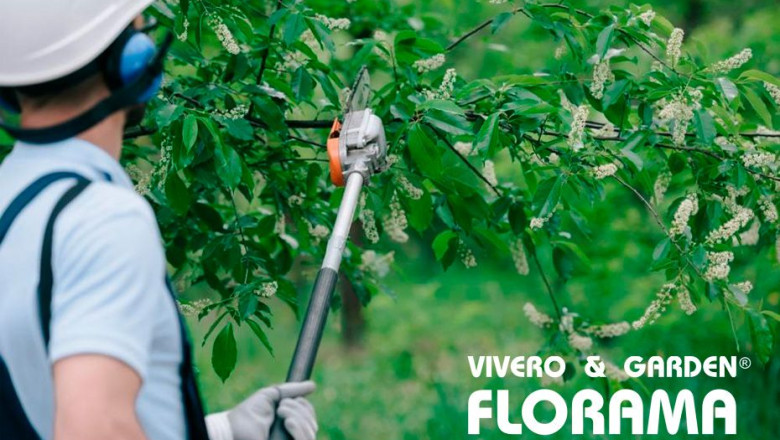 florama poda de arboles