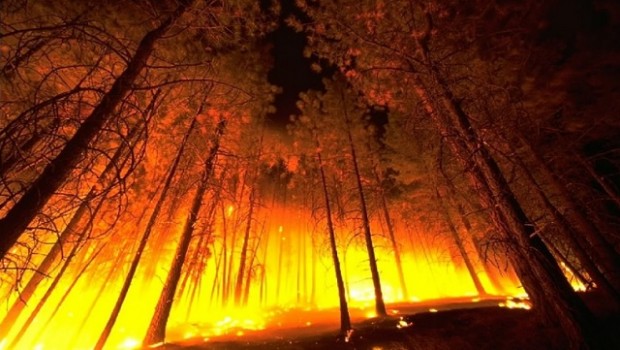incendio forestal