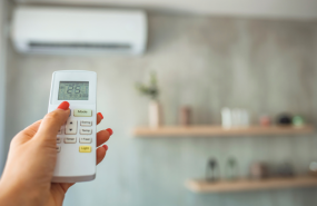 123 13 20240621110839 123 13 20240621110839