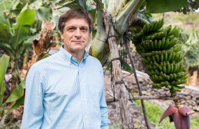 ep archivo domingo martin ortega reelegido presidente de asprocan ep archivo domingo martin ortega reelegido presidente de asprocan