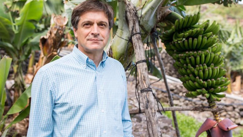 ep archivo domingo martin ortega reelegido presidente de asprocan ep archivo domingo martin ortega reelegido presidente de asprocan