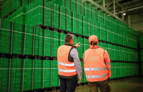 ep archivo   empresa logifruit