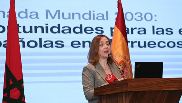 ep archivo   la secretaria de estado de comercio amparo lopez senovilla