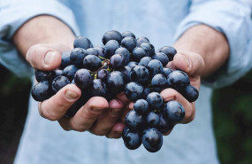ep grandes bodegas se unen para reclamar apoyo para el sector