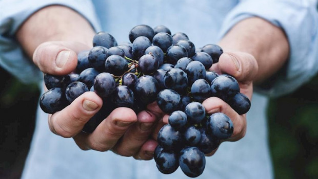 ep grandes bodegas se unen para reclamar apoyo para el sector