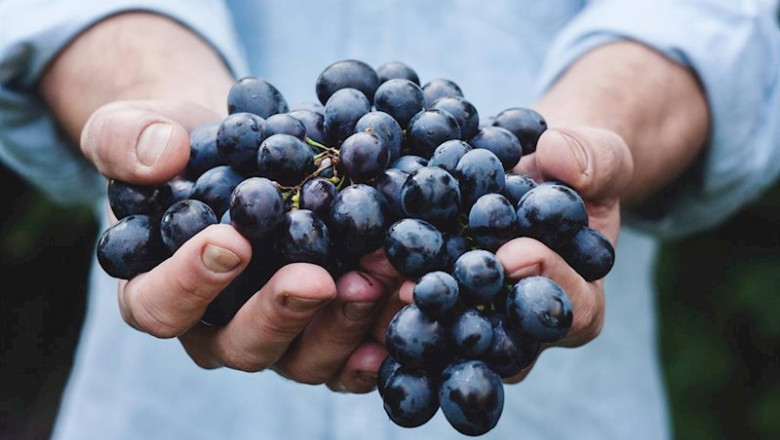 ep grandes bodegas se unen para reclamar apoyo para el sector