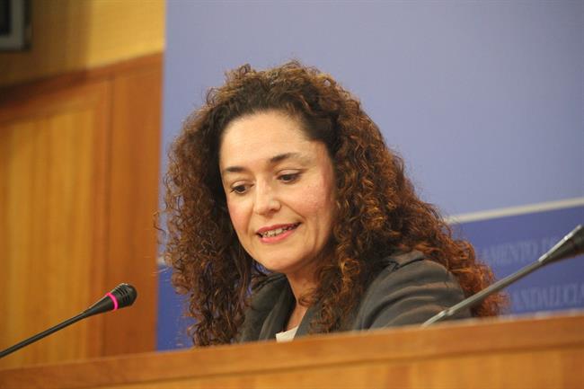 La responsable de Política Institucional de IULV-CA, Inmaculada Nieto | IULV-CA ep la responsablepolitica institucionaliulv-ca inmaculada nieto