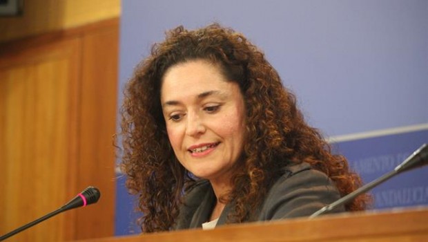ep la responsablepolitica institucionaliulv-ca inmaculada nieto