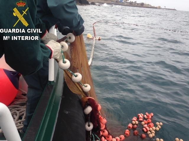 Pesca ilegal | CEDIDA ep pesca ilegal