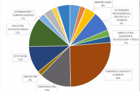 ep porcentaje de lo prestamos ico por sectores segun datos de la intervencion general de la
