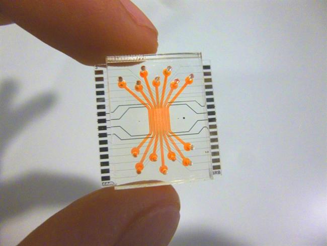 Reproducen la barrera de la retina humana en un microchip | CSIC ep reproducenbarrerala retina humanaun microchip