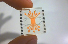 ep reproducenbarrerala retina humanaun microchip