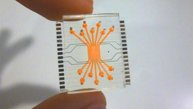ep reproducenbarrerala retina humanaun microchip