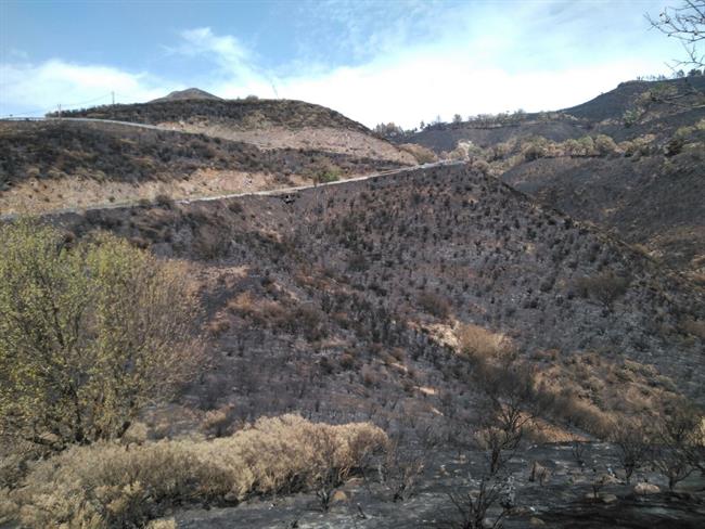 Terreno quemado en el incendio de Gran Canaria | CEDIDO POR CABILDO DE GRAN CANARIA ep terreno quemadoincendiogran canaria