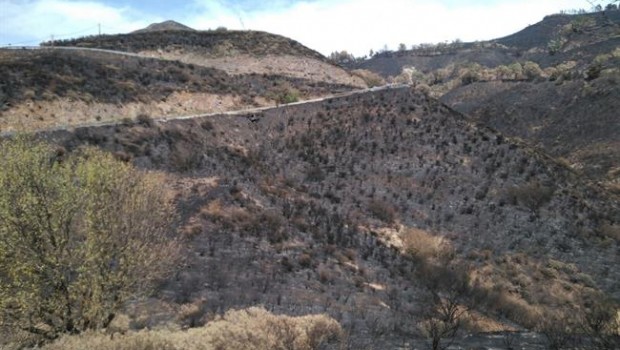 ep terreno quemadoincendiogran canaria