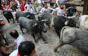 ep ultimo encierrolos sanfermines2019 con torosmiura