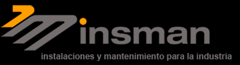 logo insman