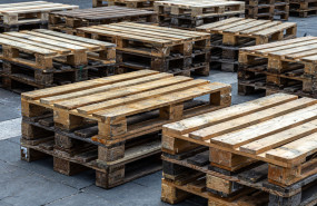 123 2023 05 25t095249151 123 2023 05 25t095249151