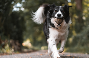 123 12 20250121162709 123 12 20250121162709