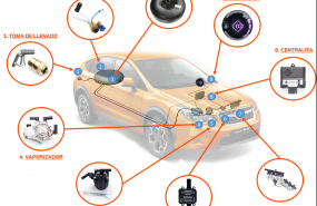 1613384353 esquema componentes glp