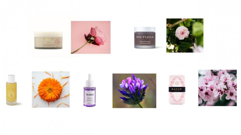 1650874582 productos florales